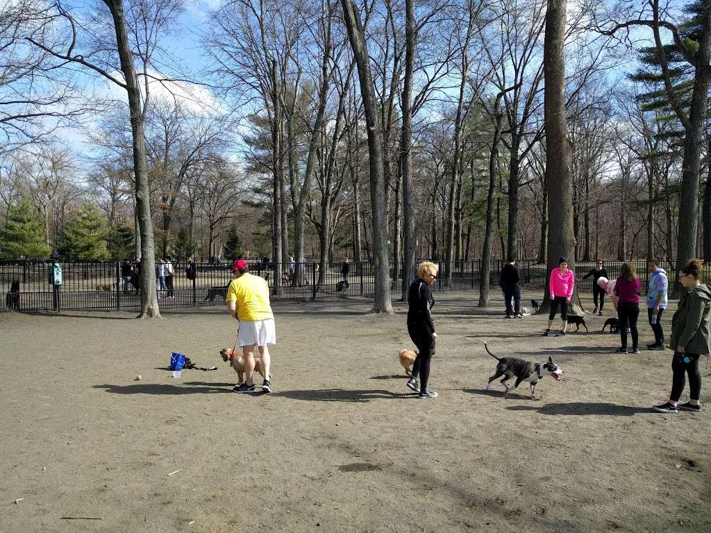 Ridgewood Dog Park | Ridgewood, NJ 07450, USA | Phone: (201) 336-7275