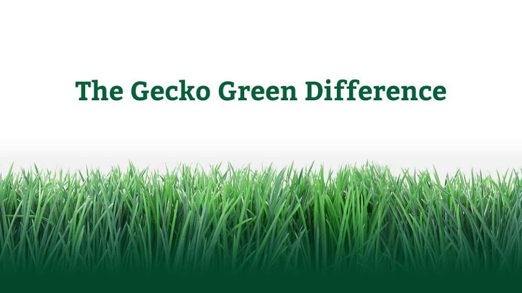 Gecko Green | 6015 Commerce Dr Ste 400, Irving, TX 75063, USA | Phone: (972) 846-4683