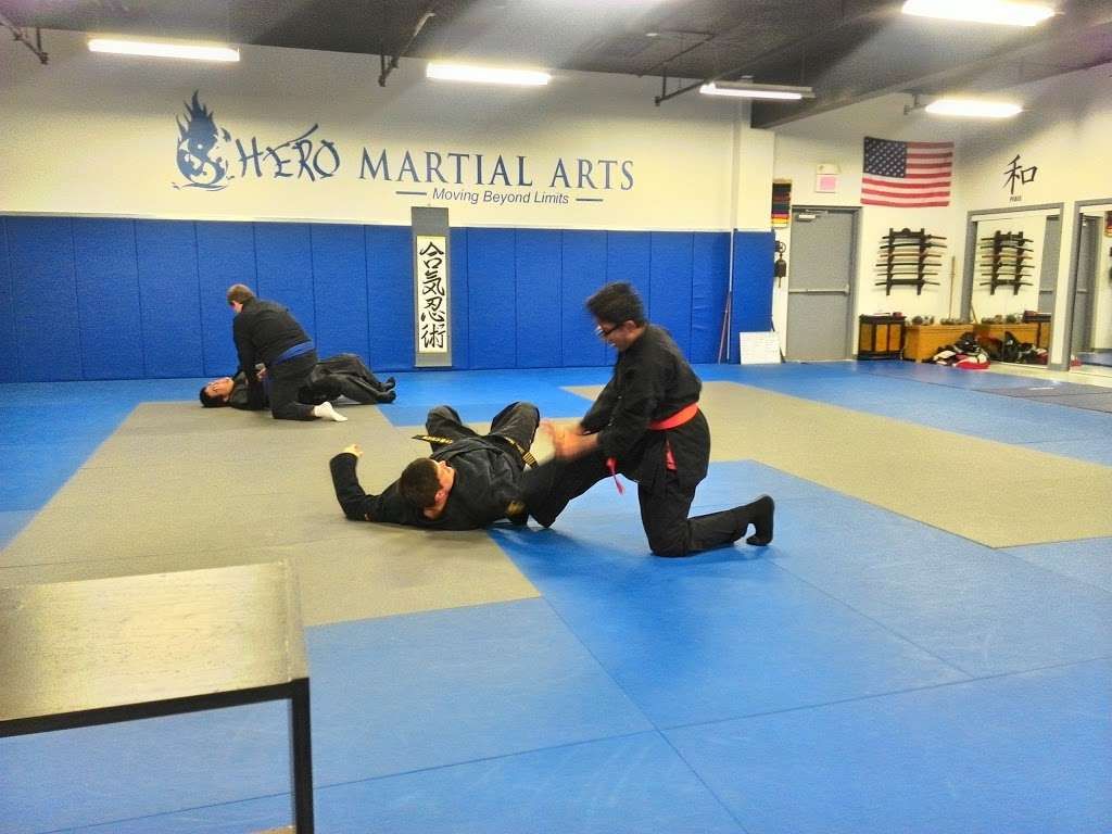 Hero Martial Arts | 2179 Sycamore Rd #102, DeKalb, IL 60115, USA | Phone: (815) 517-0411