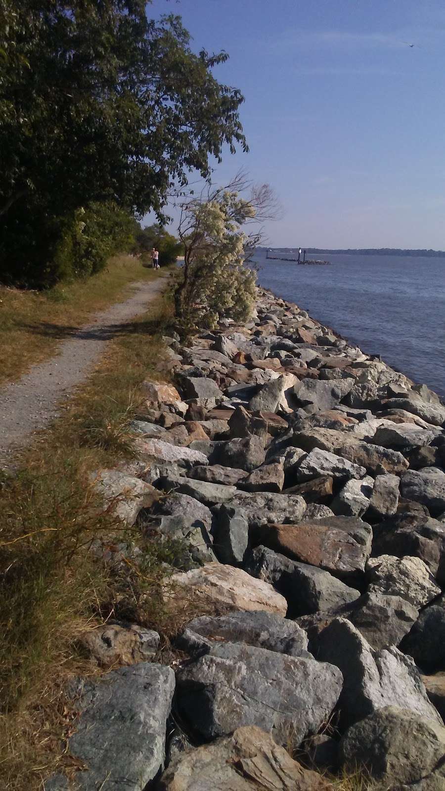 Bill Burton Fishing Pier | 29761 Boling Broke Point Dr, Trappe, MD 21673, USA | Phone: (410) 221-2290