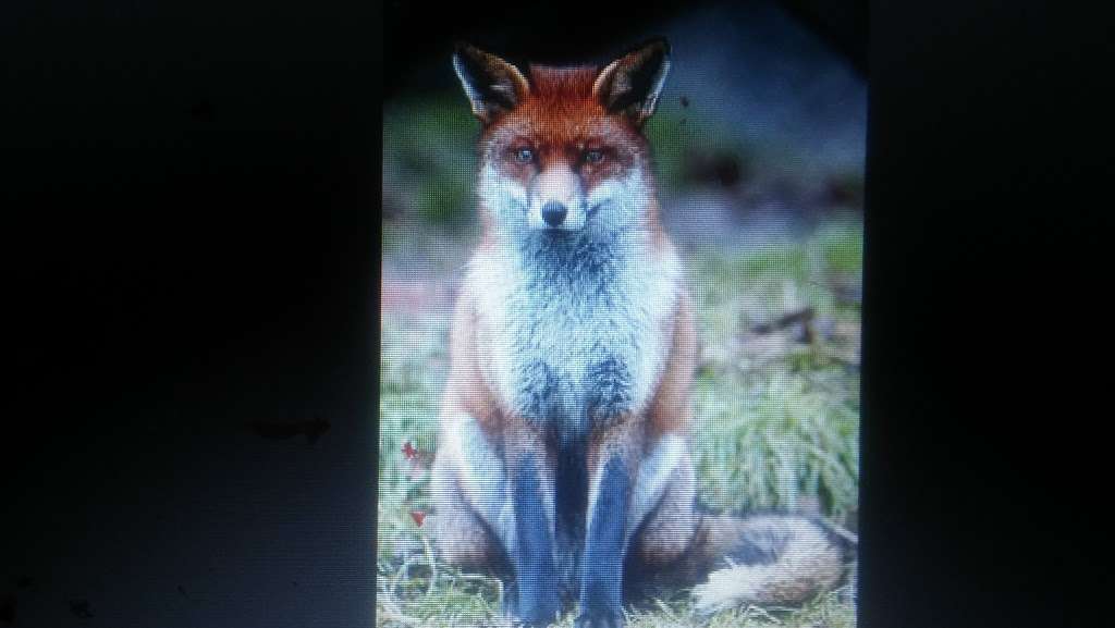 Eagles Wings Hot Air Balloons | 4814, 1105 Christopher Cir, Rock Hill, SC 29730, USA | Phone: (803) 230-1178