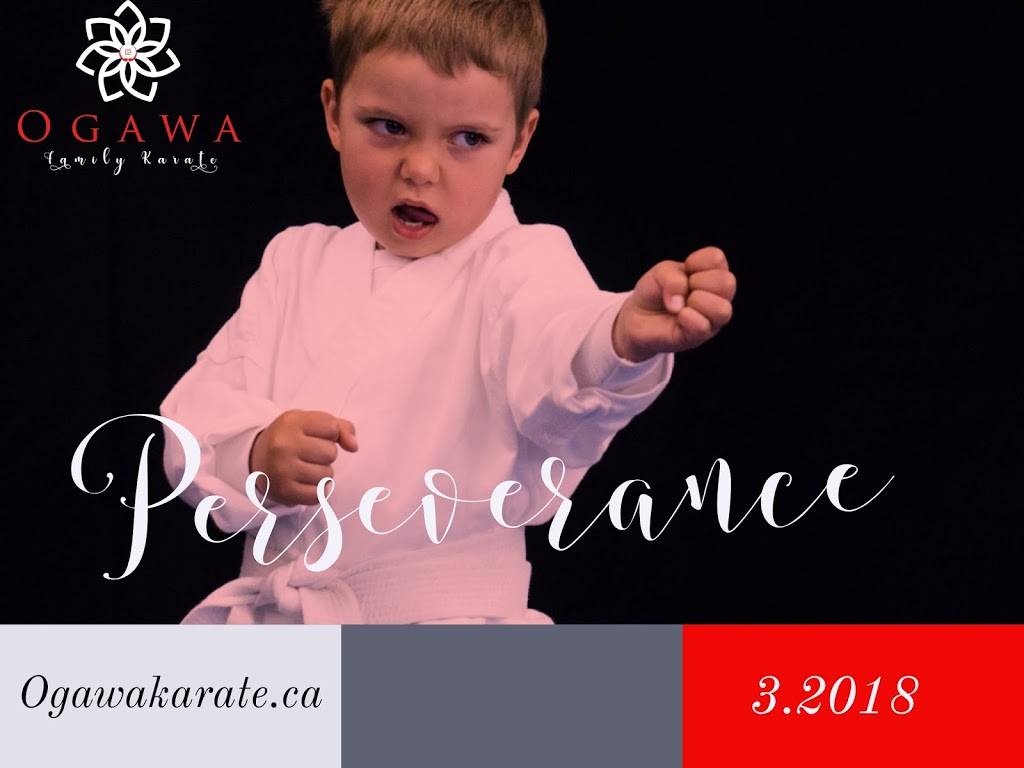 Ogawa Family Karate | 1485 Garrison Rd, Fort Erie, ON L2A 1P8, Canada | Phone: (289) 271-9822