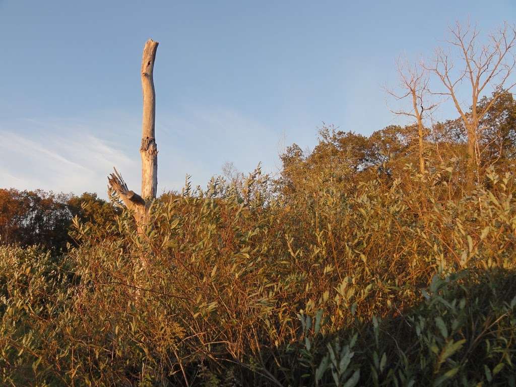 Beverly Shores | Beverly Shores, IN 46304, USA