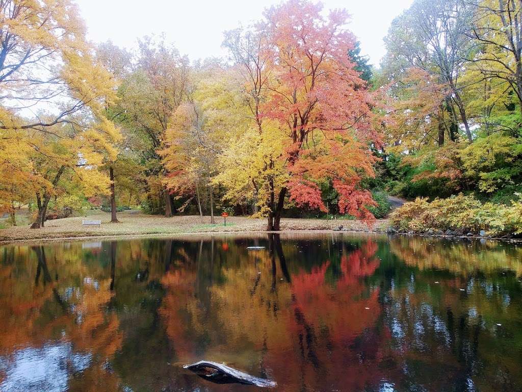 Curtis Arboretum | Wyncote, PA 19095, USA | Phone: (215) 884-7675