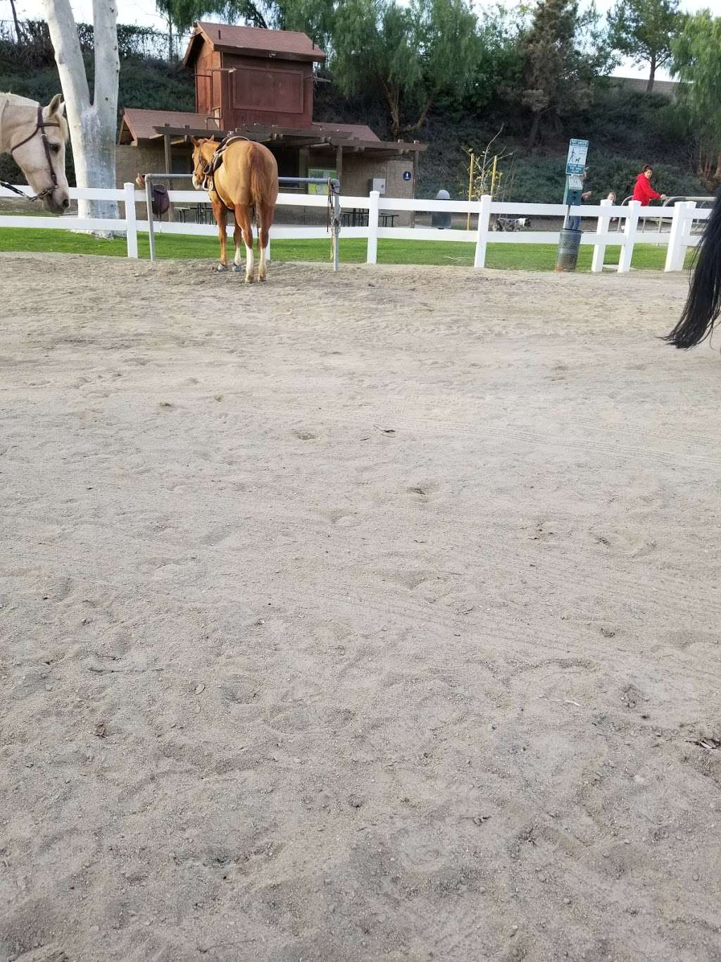 Buena Vista Equestrian Center | Yorba Linda, CA 92886