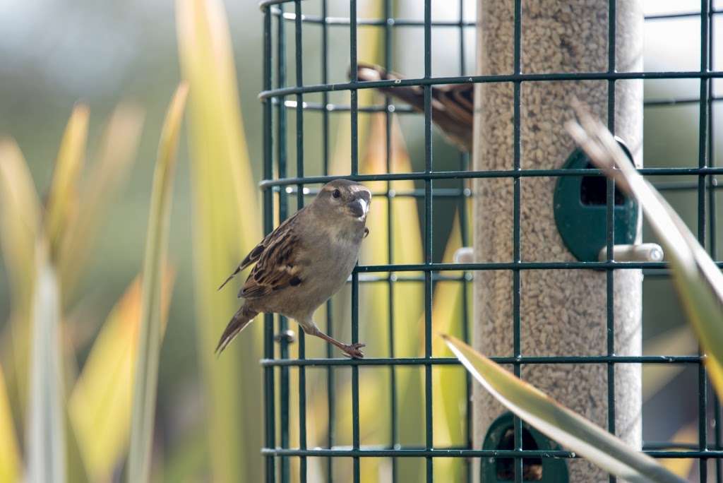 Wild Birds Unlimited in 104 Vintage Way, Novato, CA 94945, USA