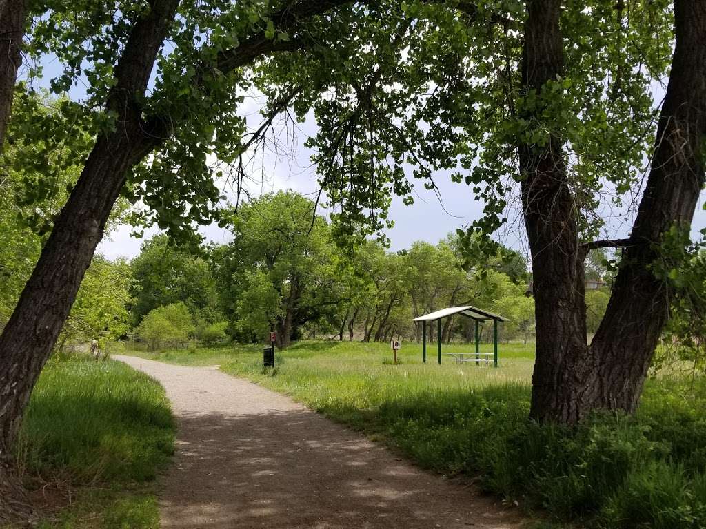 Little Library | Wheat Ridge, CO 80033