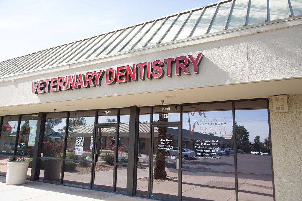 Arizona Veterinary Dental Specialists - Scottsdale | 7908 E Chaparral Rd Ste 108, Scottsdale, AZ 85250, USA | Phone: (480) 941-1738