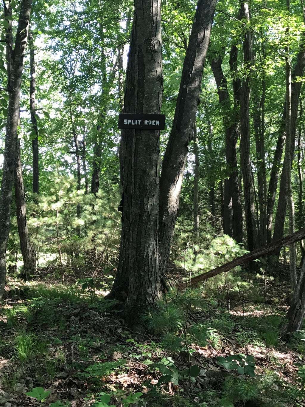 Split Rock Hiking Trail | 98 Old Sugar Rd, Bolton, MA 01740, USA