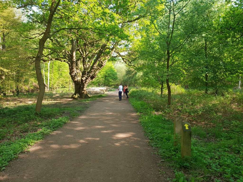 Epping Forest Visitor Centre | Waltham Abbey, Loughton IG10 4AF, UK | Phone: 020 8508 0028