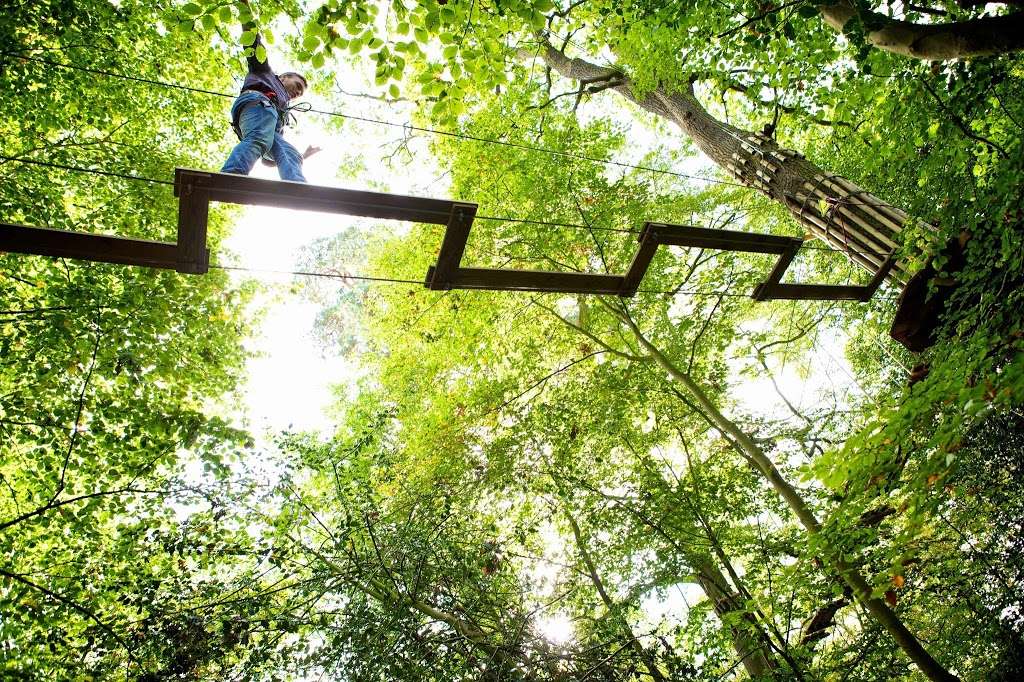 Go Ape Zip Line & Treetop Adventure - Lums Pond State Park | 1042 Howell School Rd, Bear, DE 19701, USA | Phone: (800) 971-8271