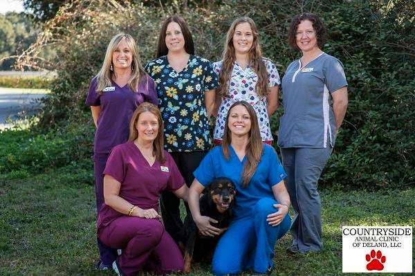 Countryside Animal Clinic | 1727 N Spring Garden Ave, DeLand, FL 32720 | Phone: (386) 736-9300