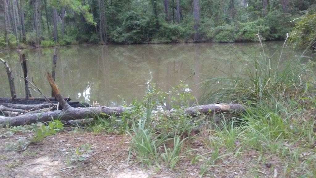 Lone Star Hiking Trail Pond | 5 Alabama 6, Lawley, AL 36793
