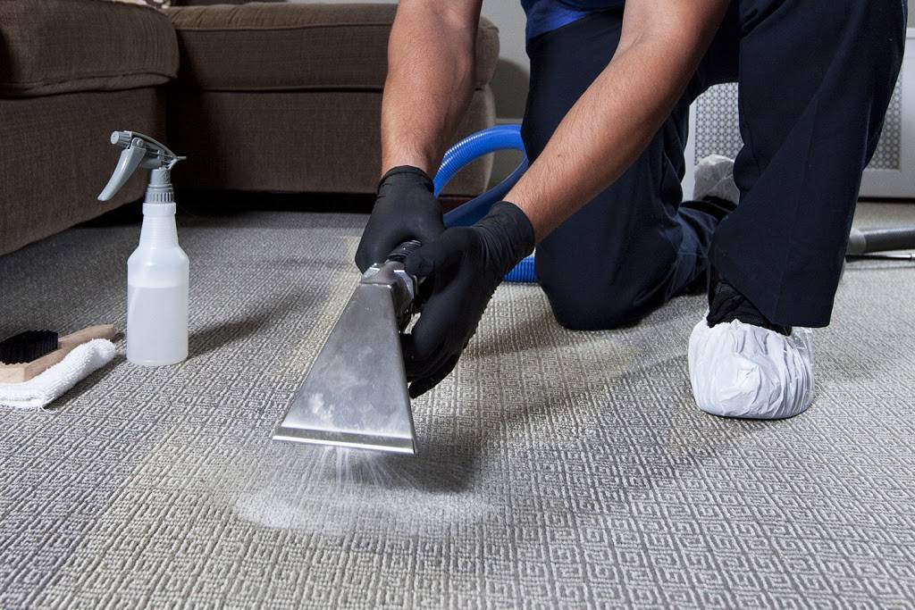 The King Rug Carpet Cleaning Inc | 7422 S Avalon Blvd, Los Angeles, CA 90003, USA | Phone: (424) 256-7361