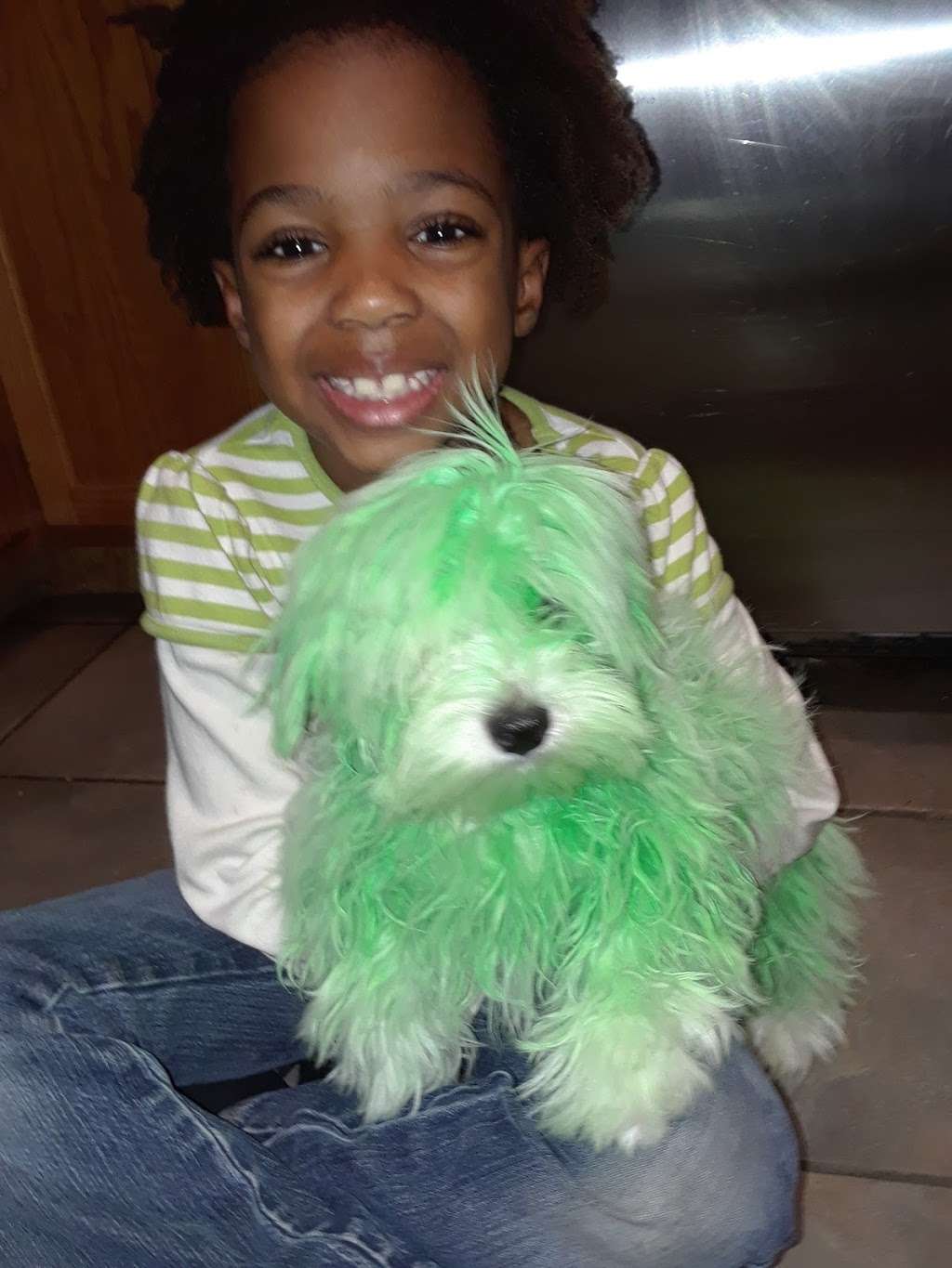 Luigi911.com | 2087 Sienna Trail, Lewisville, TX 75067, USA | Phone: (214) 287-9177