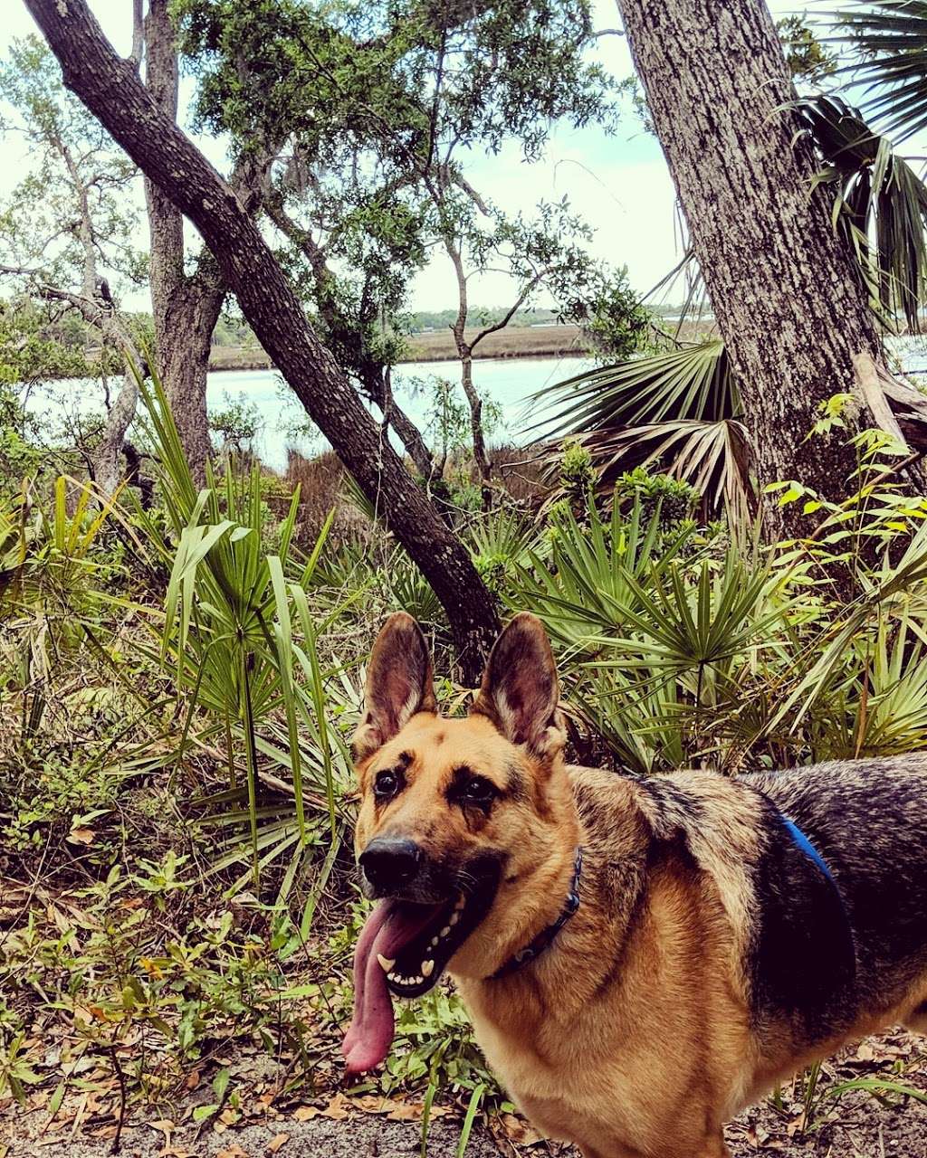 Spruce CREEK PRESERVE / Doris LEEPER | New Smyrna Beach, FL 32168, USA