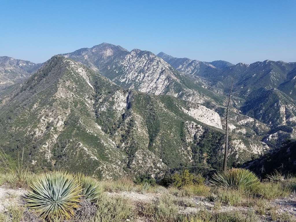 Cedar Overlook | Tujunga, CA 91042