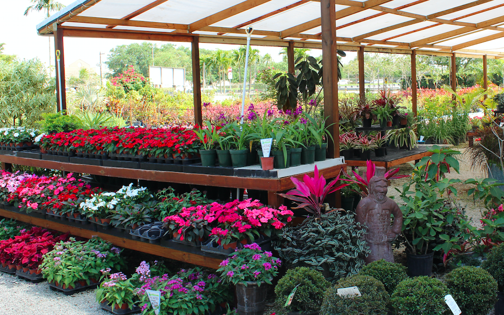 Bloom Nursery | 5150 S Flamingo Rd, Southwest Ranches, FL 33330, USA | Phone: (954) 822-4096