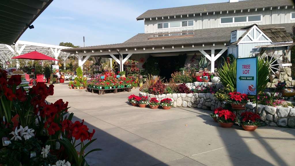 Armstrong Garden Centers | 32382 Del Obispo St, #D, San Juan Capistrano, CA 92675, USA | Phone: (949) 661-6666