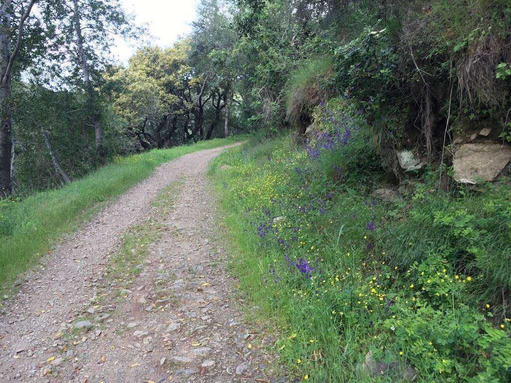 Limekiln Trail, Los Gatos CA | Alma Bridge Rd & Limekiln Trail, Los Gatos, CA 95033