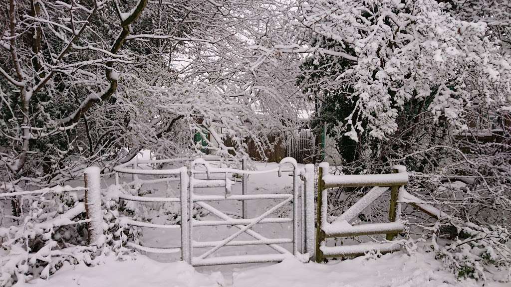 National Trust - Morven Park | Hatfield Rd, Potters Bar EN6 1HS, UK