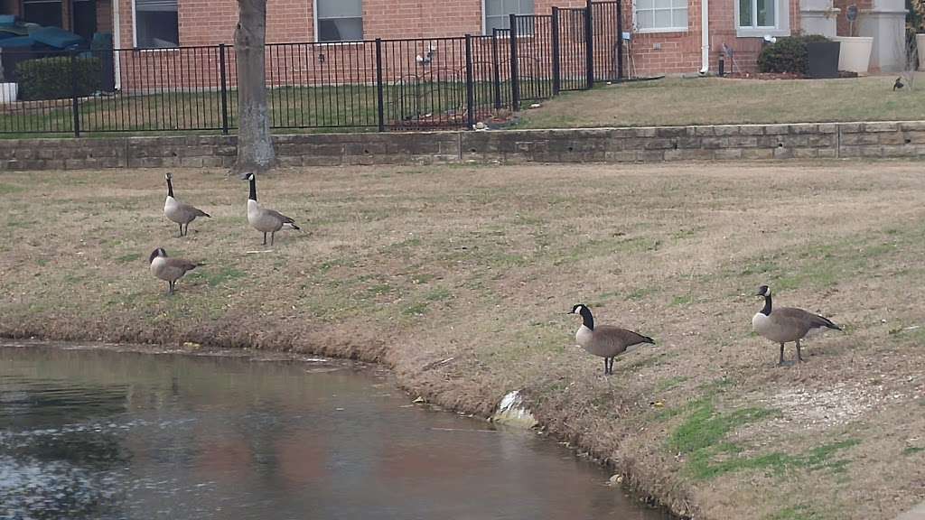 Creek Hollow Park | 4100 Breckenridge Boulevard, Richardson, TX 75082, USA | Phone: (972) 744-4300