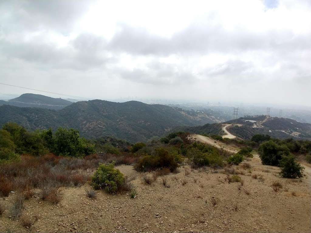 Canyonback Tree Swing | Lower Canyonback Trail, Los Angeles, CA 90049