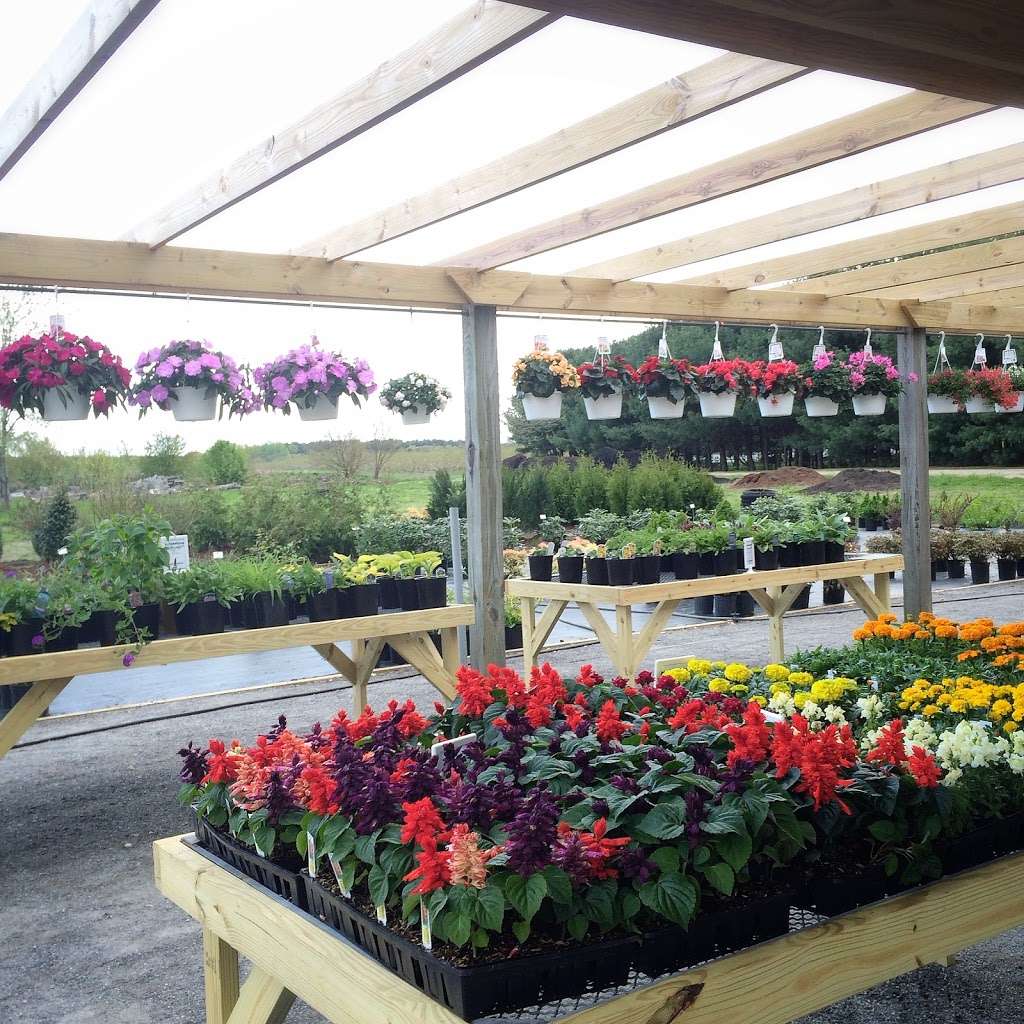 Bast Brothers Garden Center | 1214 Ellis Mill Rd, Mullica Hill, NJ 08062, USA | Phone: (856) 612-5344