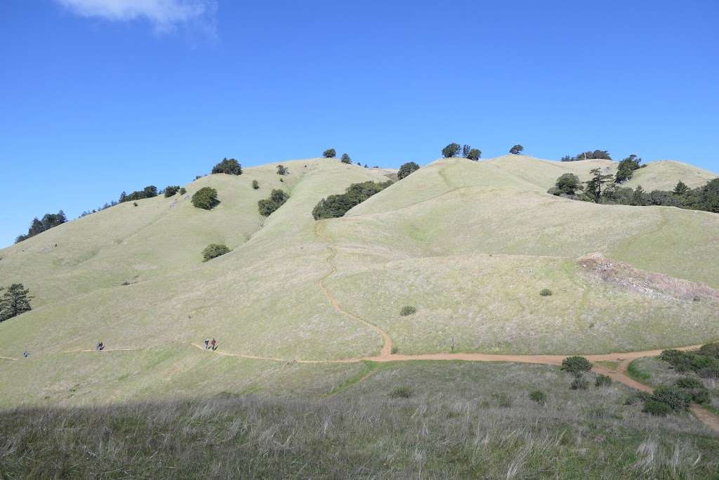 Matt Davis Trail Head | Matt Davis Trail, Stinson Beach, CA 94970, USA