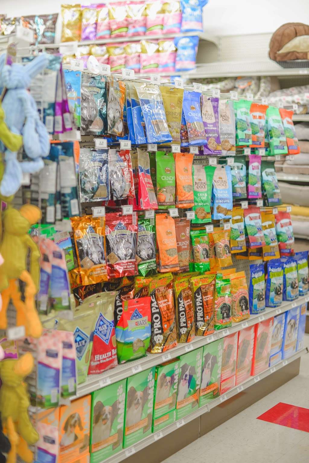 Specks Pet Supplies | 12664 E 116th St, Fishers, IN 46037, USA | Phone: (317) 537-0200