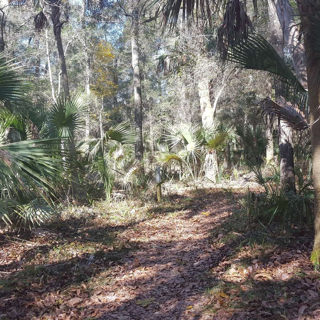 Spruce CREEK PRESERVE / Doris LEEPER | New Smyrna Beach, FL 32168, USA