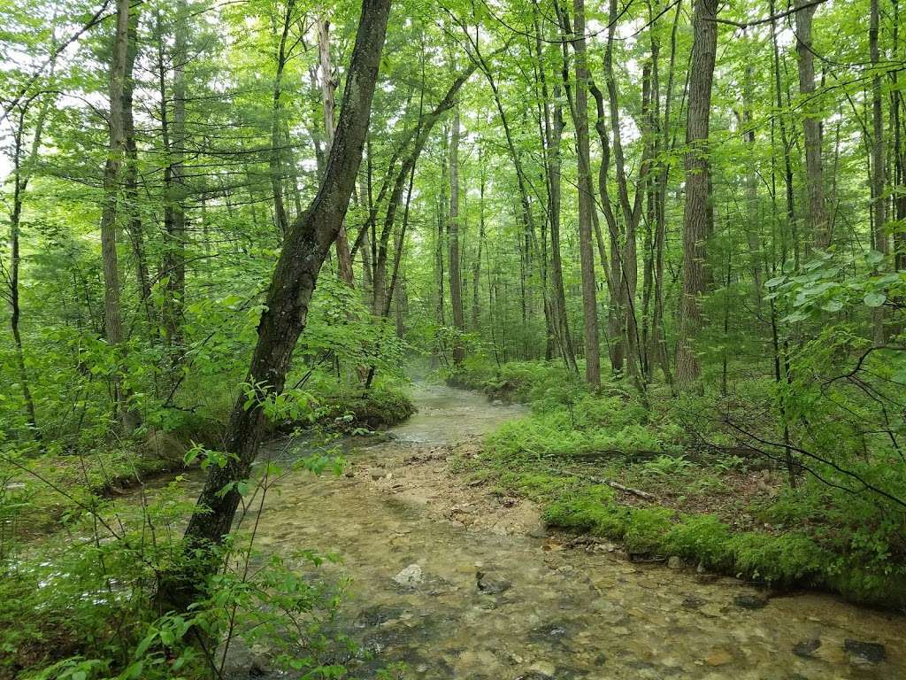 Irish Gap Access Kings Gap Environmental Education Center | 58 Irish Gap Rd, Newville, PA 17241, USA