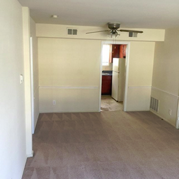 Mannys Carpet Cleaning & Repairs | 11346 Hudson Hills Ln, Riverview, FL 33579, USA | Phone: (813) 358-0345