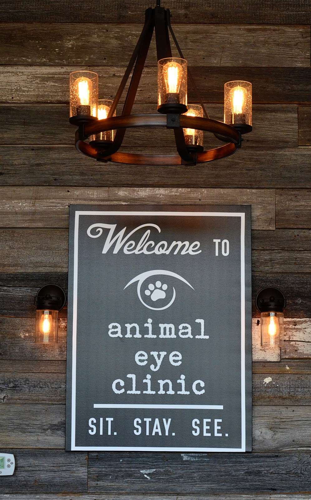 Animal Eye Clinic | 14637 Gray Rd, Westfield, IN 46062, USA | Phone: (317) 999-7873
