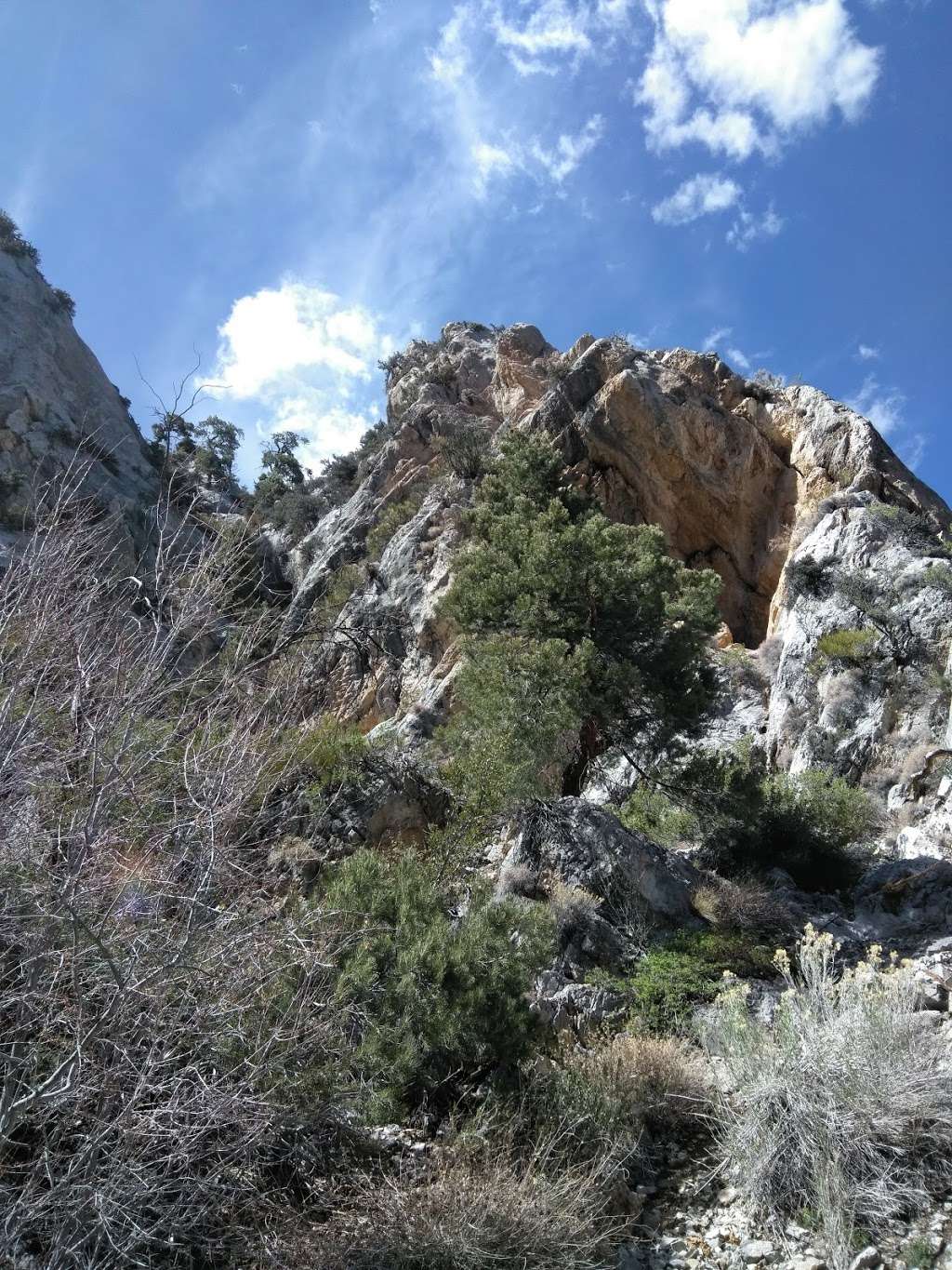 Robbers Roost Trailhead | NV-158, Mt Charleston, NV 89124, USA | Phone: (702) 515-5400