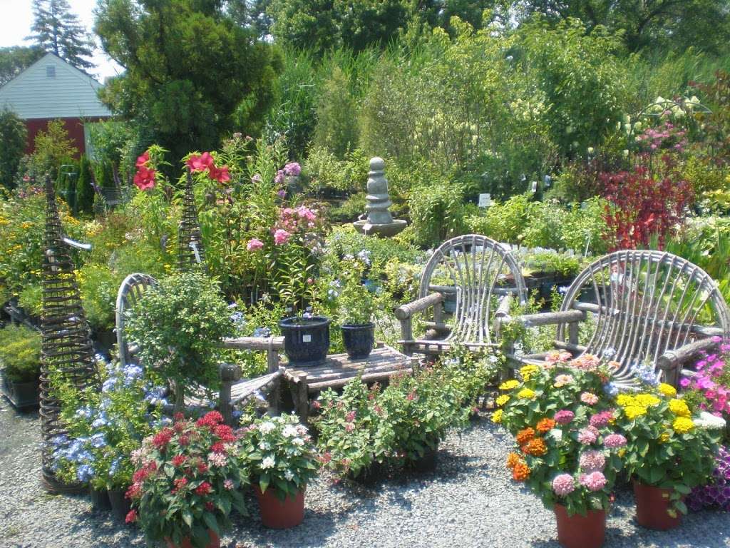 Lowes Bayshore Nursery and Garden Center, Inc. | 703 Love Point Rd, Stevensville, MD 21666, USA | Phone: (410) 643-6244
