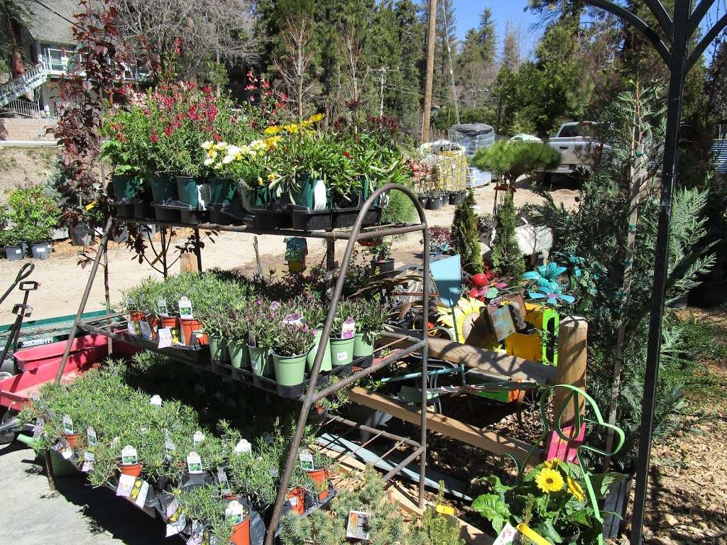 FOUR SEASONS GARDEN CENTER | 303 N. STE HWY 173 BOX 1742, Lake Arrowhead, CA 92352, USA | Phone: (909) 337-7328