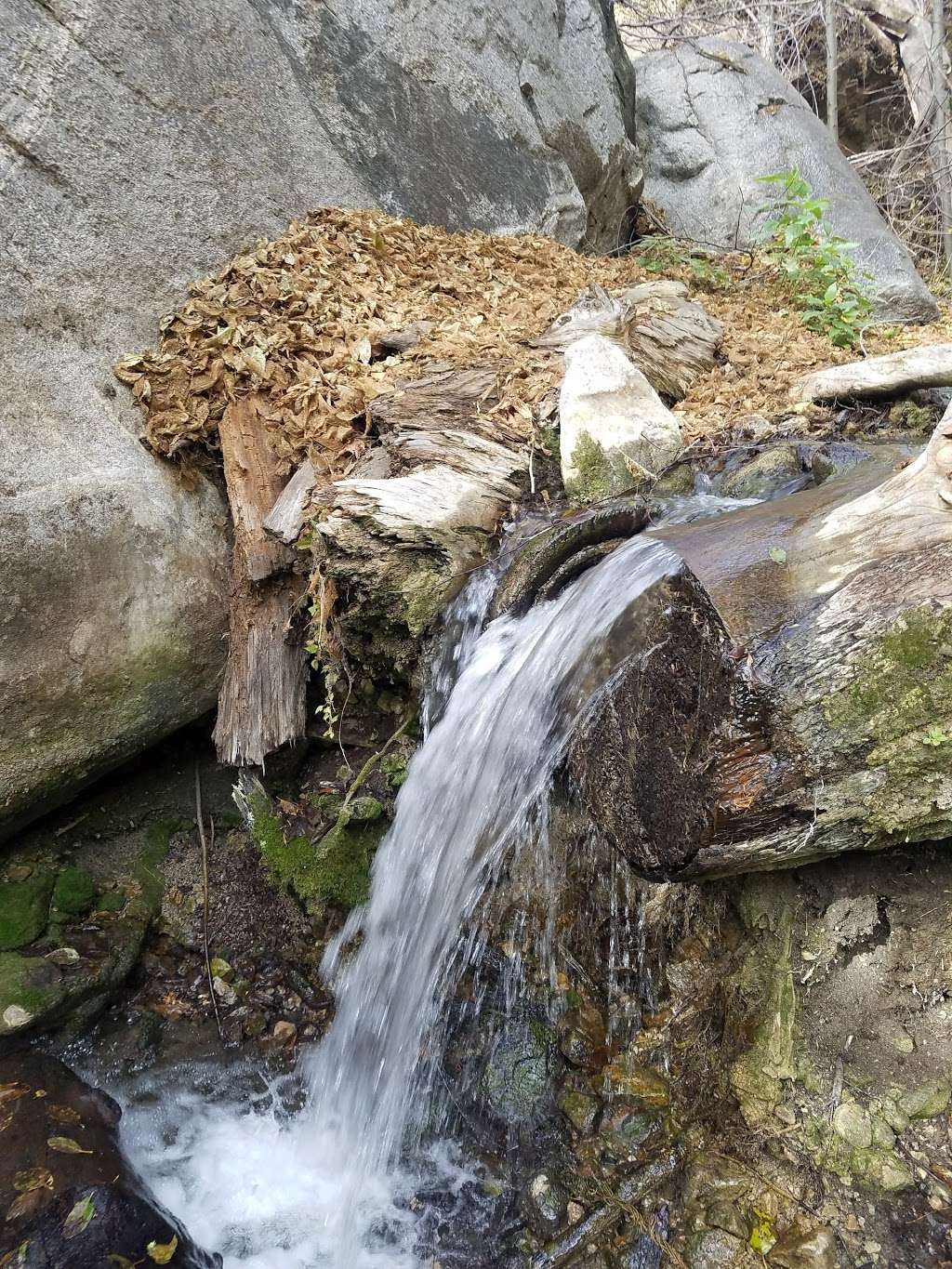 Lewis Falls | Soldier Creek, Azusa, CA 91702, USA