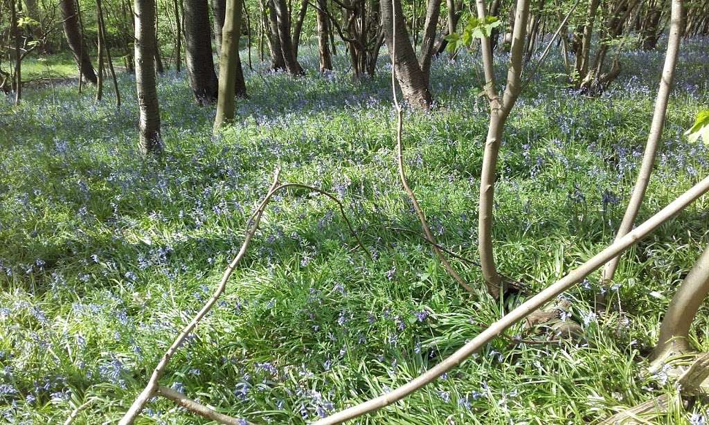 St Mary & All Saints Church | High Rd, Langdon Hills SS16 6HY, UK | Phone: 01268 490400