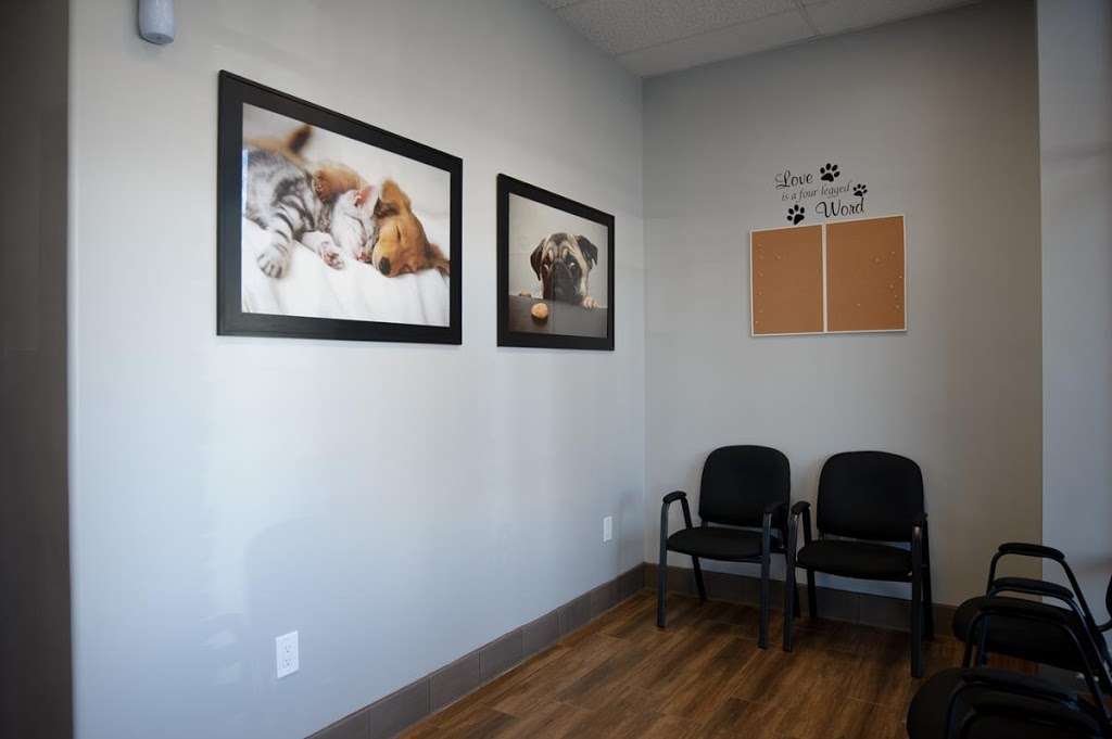 Eastvale Veterinary Hospital | 12672 Limonite Ave #3a, Eastvale, CA 92880, USA | Phone: (951) 763-8800