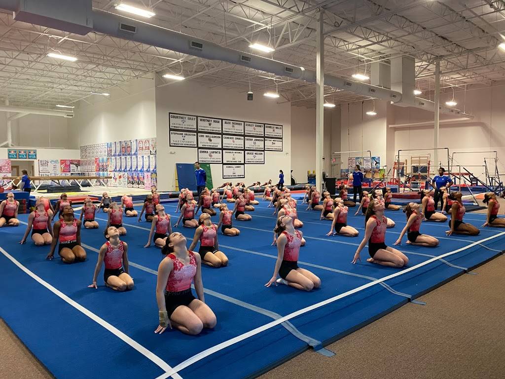 Kurt Thomas Gymnastics | 10825 John W. Elliott Dr Suite 400, Frisco, TX 75033, USA | Phone: (214) 872-4646