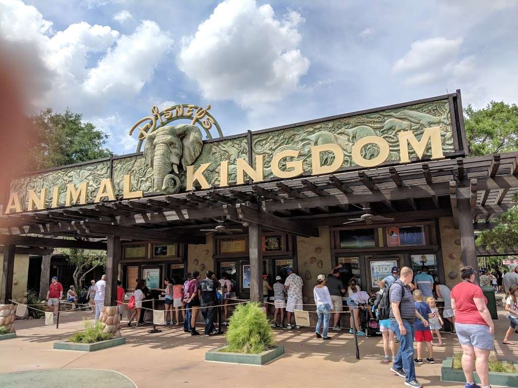 Bus Stop - Disneys Animal Kingdom Theme Park | Kissimmee, FL 34747, USA