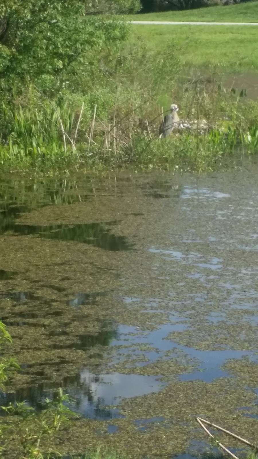 South Lake Howard Nature Park | 1570 Lake Howard Dr SW, Winter Haven, FL 33880, USA