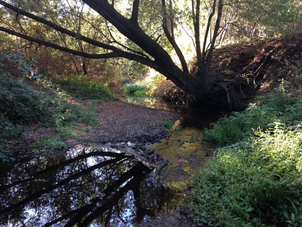 Ohair Park | Novato, CA 94947, USA