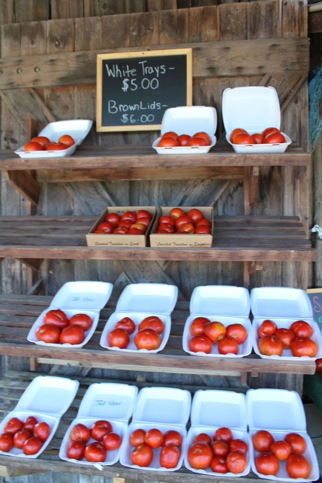 The Tomato Barn | 65 Penn St, Washington Boro, PA 17582, USA | Phone: (717) 684-2597