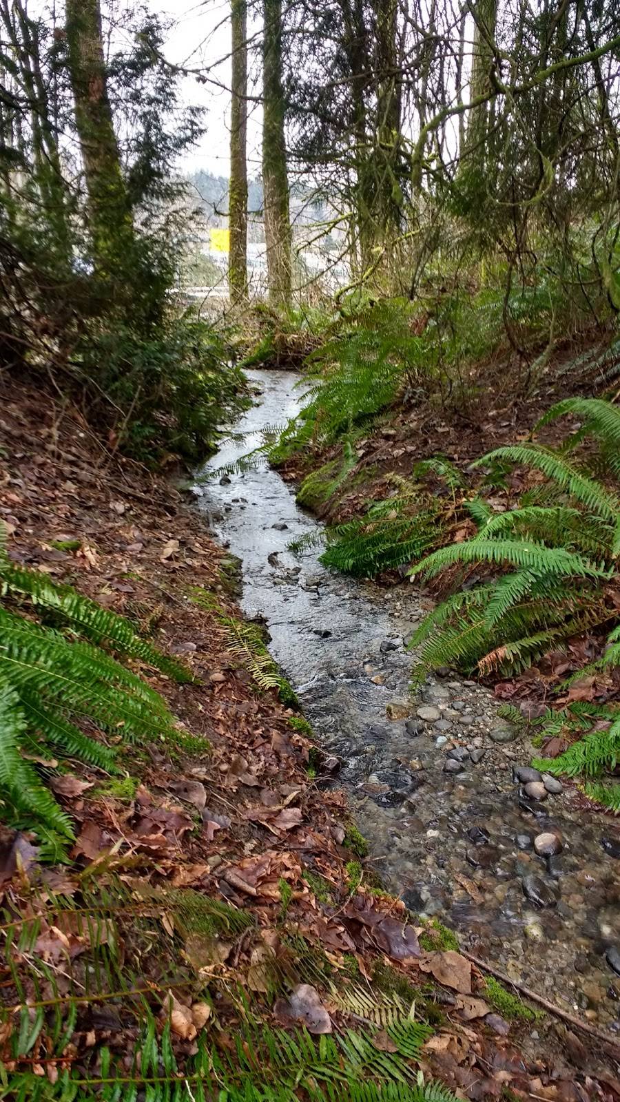 North Creek Forest | 20115 112th Ave NE, Bothell, WA 98011 | Phone: (425) 806-6760