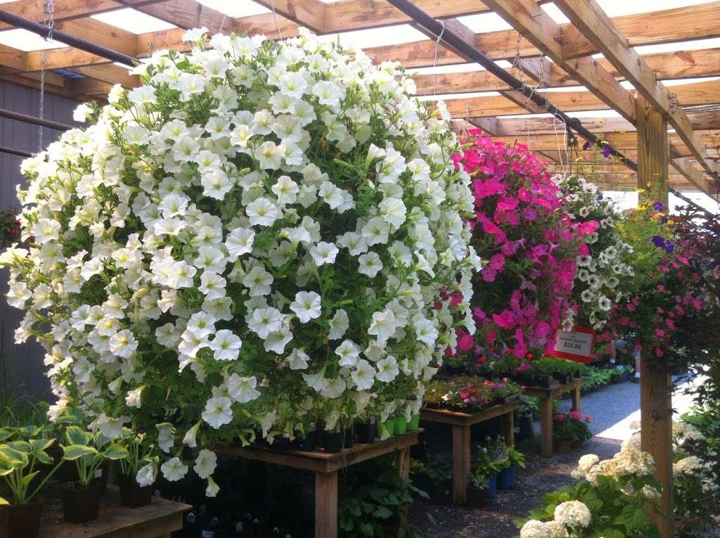 Rave Landscaping & Discount Plant Center | 621 Valley View Rd, Dallas, PA 18612, USA | Phone: (570) 675-4537