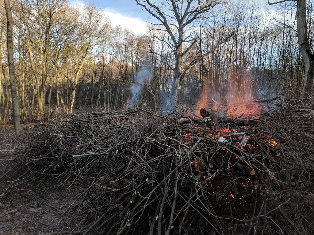 RSPB Broadwater Warren Nature Reserve | Frant, Tunbridge Wells TN3 9NZ, UK