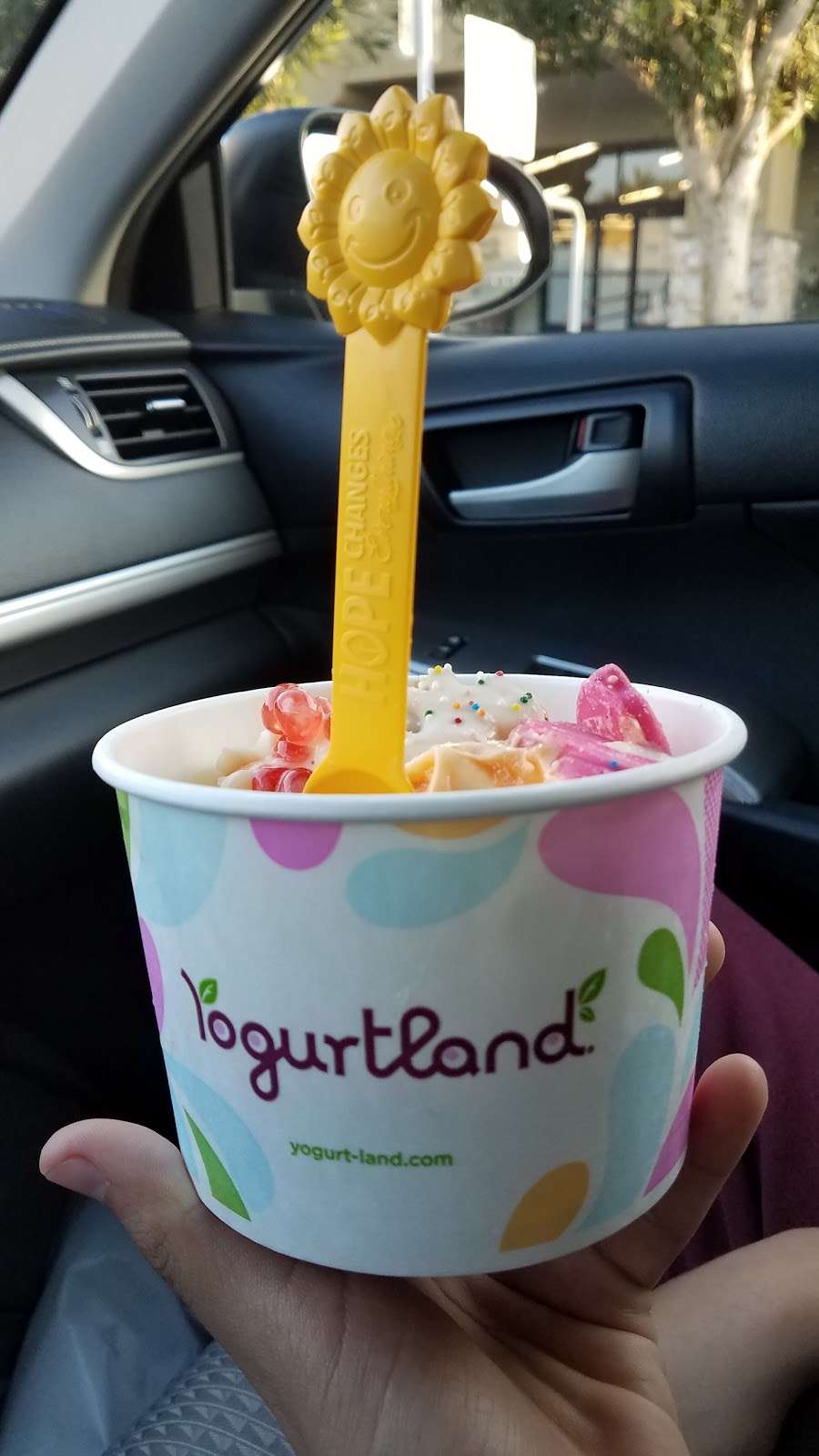 Yogurtland | 1570 Rosecrans Ave ste m, Manhattan Beach, CA 90266 | Phone: (310) 536-9562