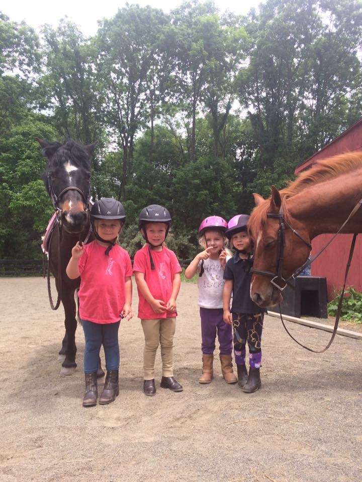 Thousand Hills Riding Stables | 4098 Ashville Rd, Delaplane, VA 20144, USA | Phone: (540) 364-1124